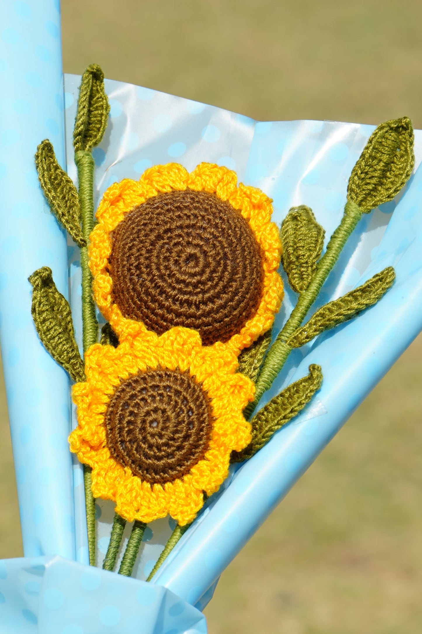 Two Sunflowers