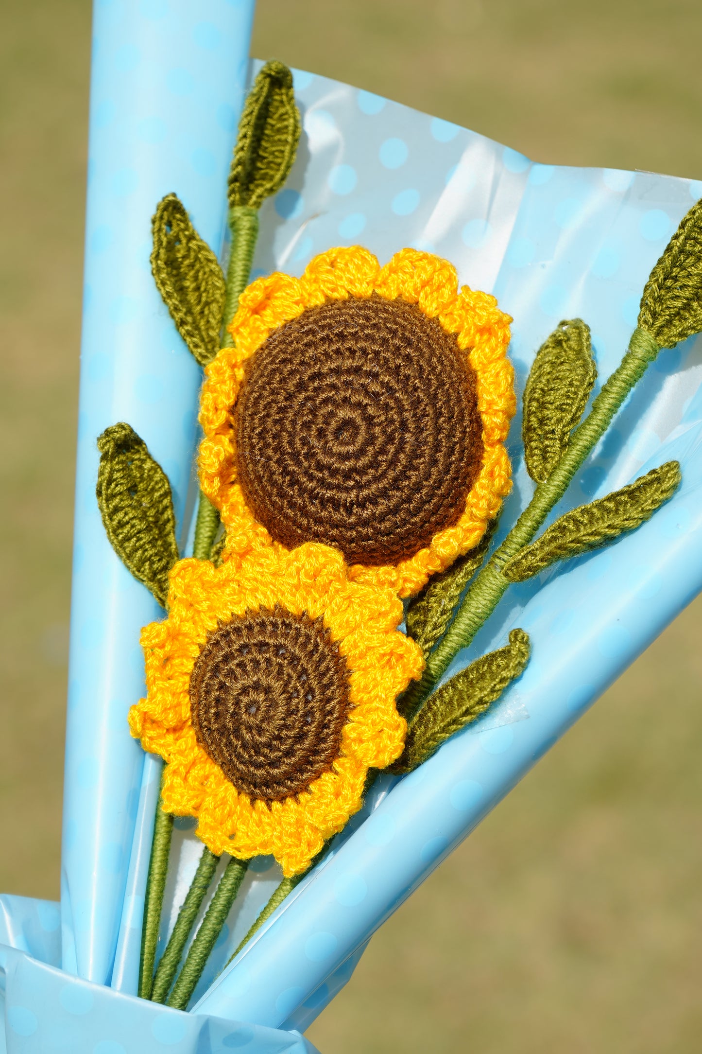 Two Sunflowers