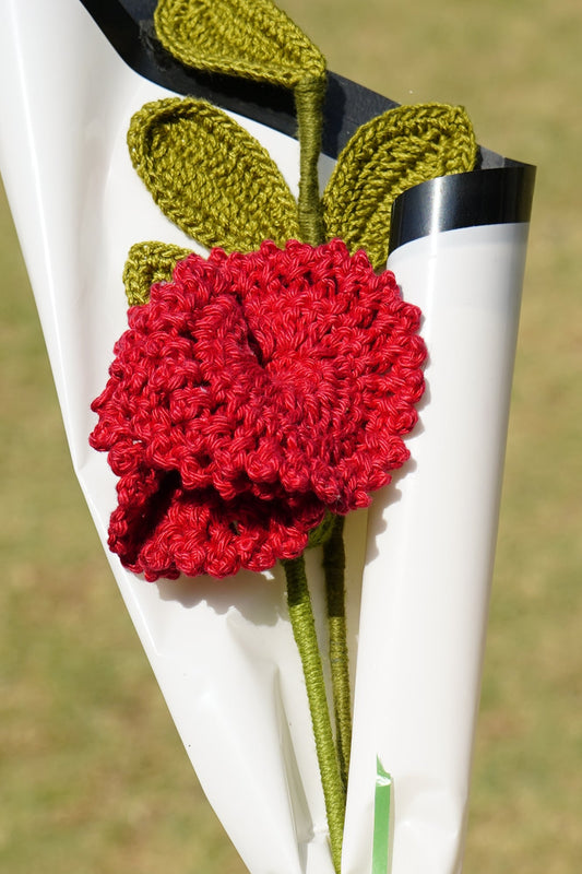 Single Red Carnation Flower