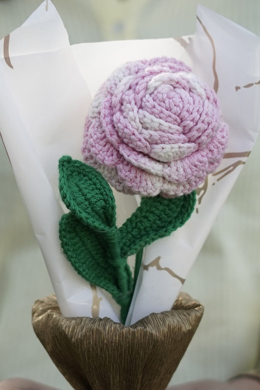 Single White Pink Rose