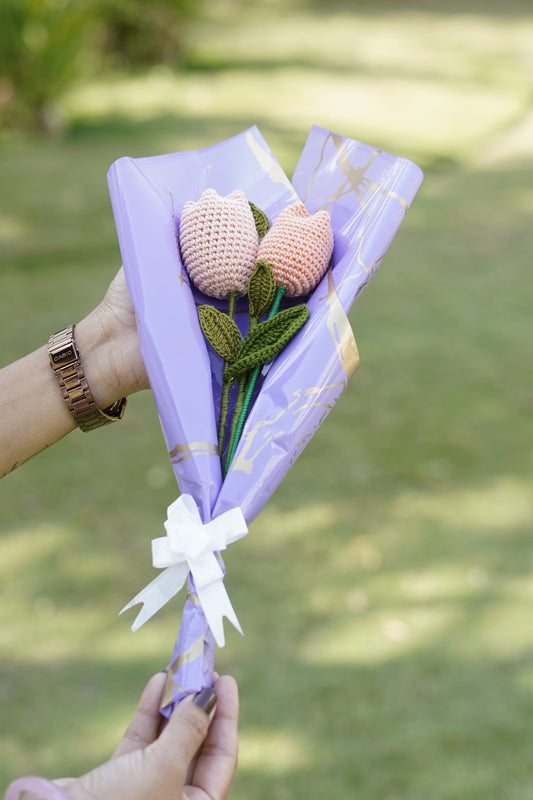 Pitch Colour Tulip Flower