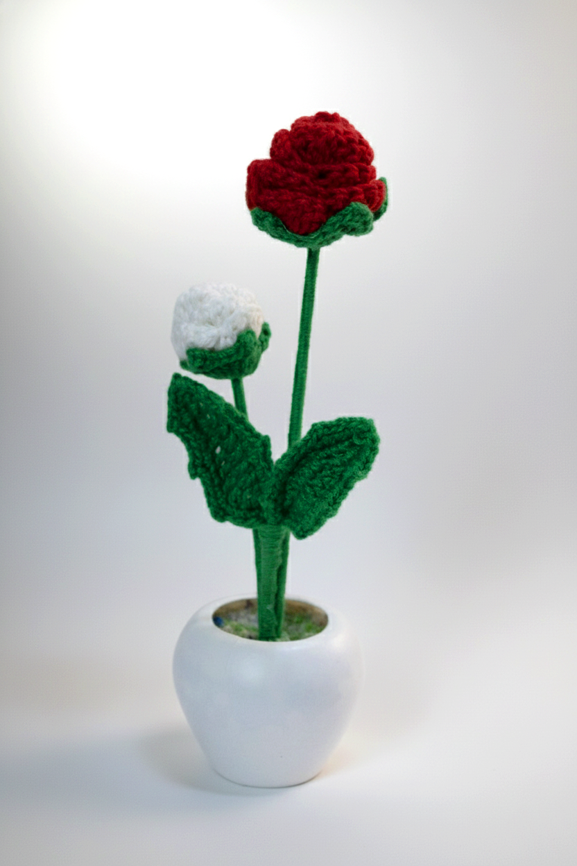 Red & White Harmony