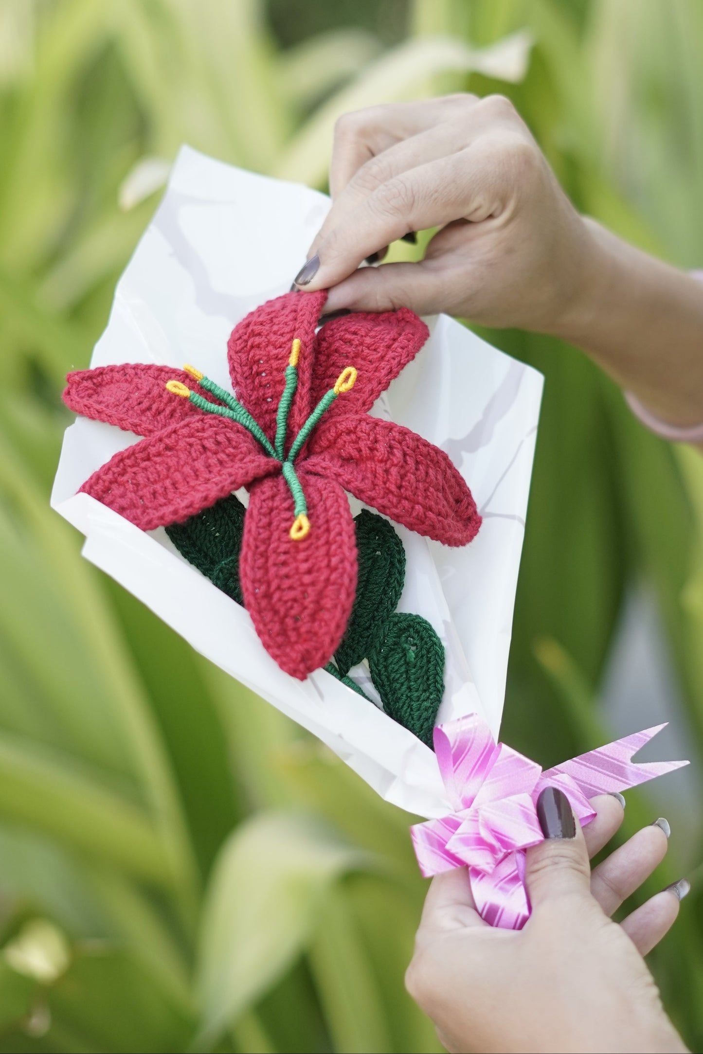 Red Lily Flower