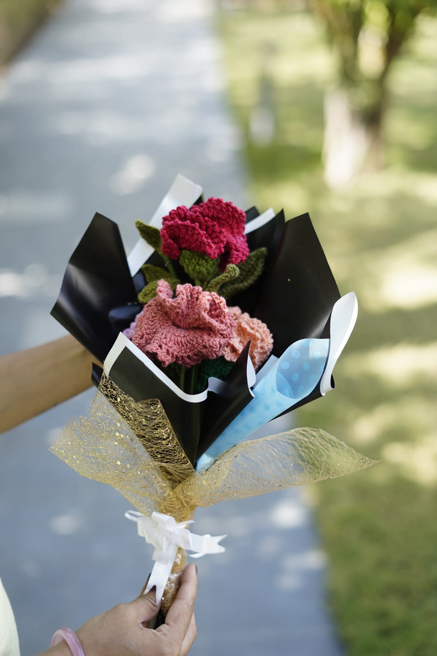 Carnation Flowers