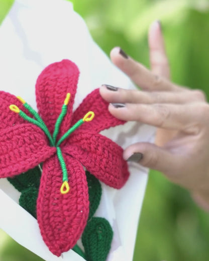 Red Lily Flower