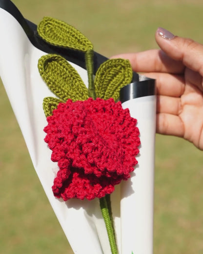 Single Red Carnation Flower