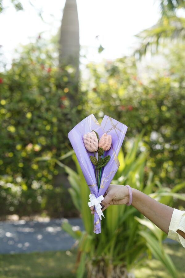 Tulip flower